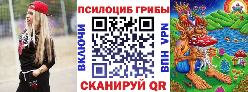 Купить где Кинешма Галлюциногенные грибы Psilocybe